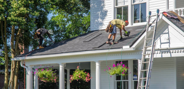 Professional  Roofing repair and installation in Denver, CO